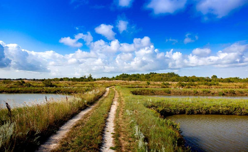 vanlife-estuaire-de-la-seudre