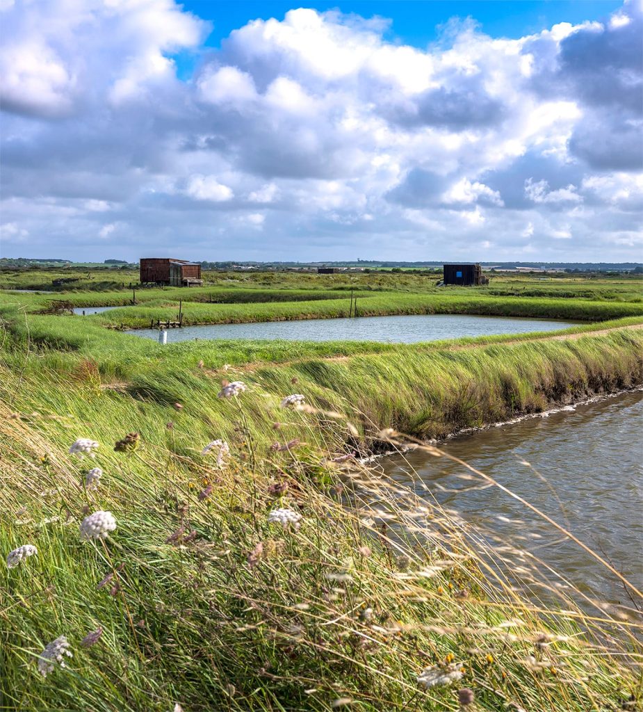 Coux salt marsh in Arvert