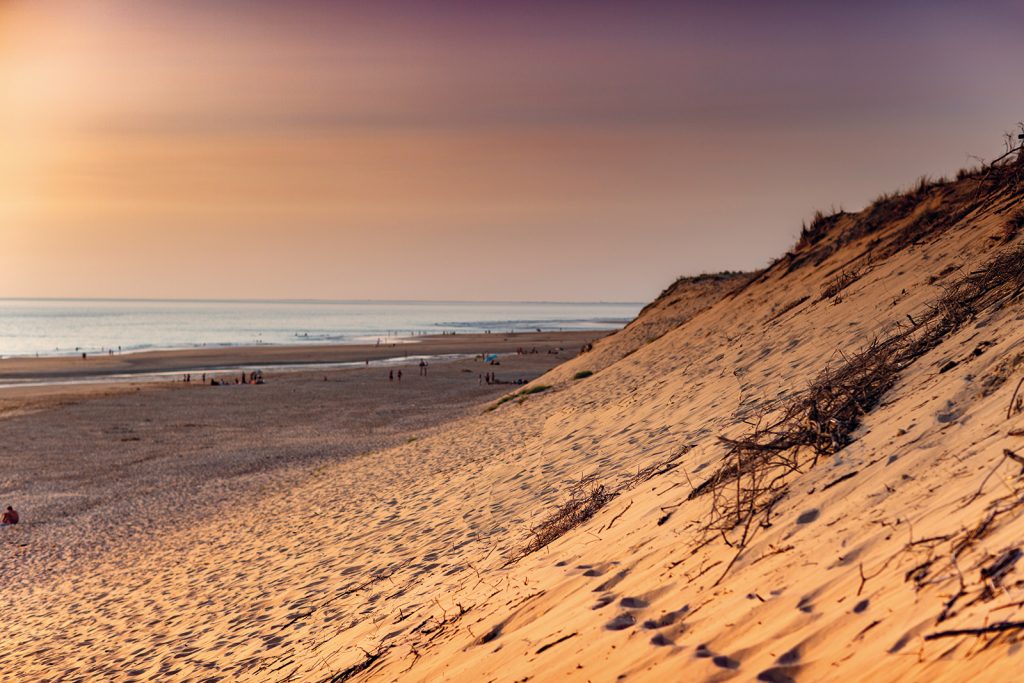 Wild Coast Dune