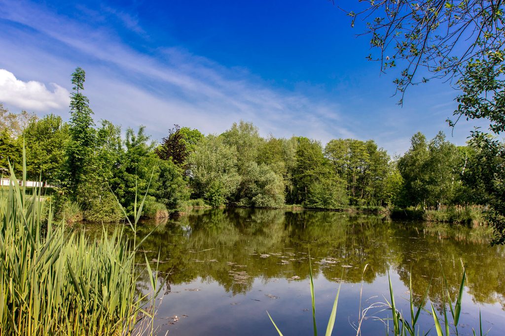 Le lac du parc de Vaux-sur-Mer