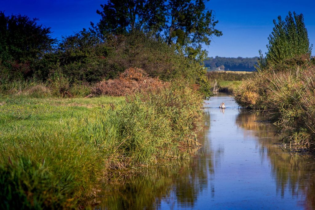 Canal sur les marais de Saint-Augustin-sur-Mer