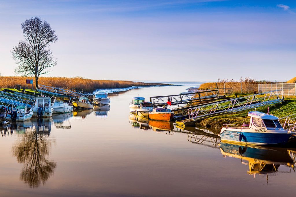 Monards harbor