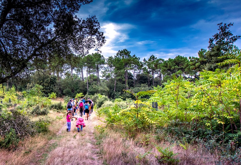 Land of activities - hiking in the La Coubre forest