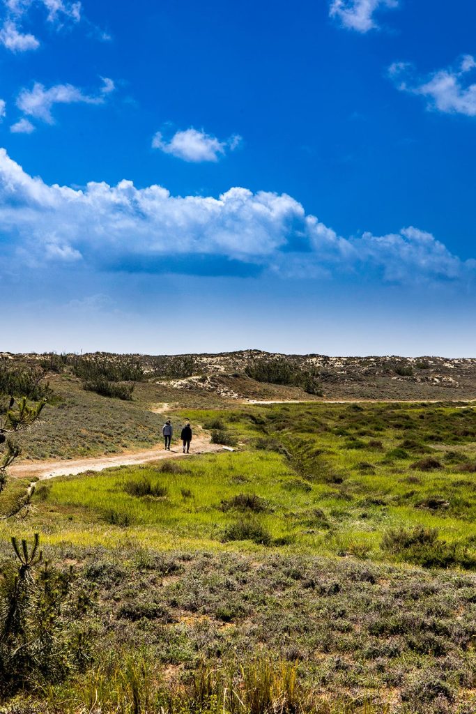 Bonne Anse Bay Trail