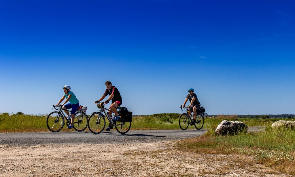 Terre d'activités - Les Chemins de la Seudre à vélo