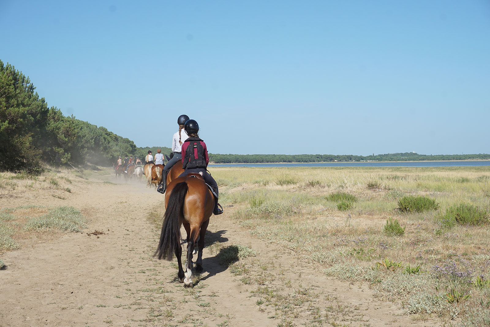 Balade à cheval en bord de mer, à la lisière de la forêt