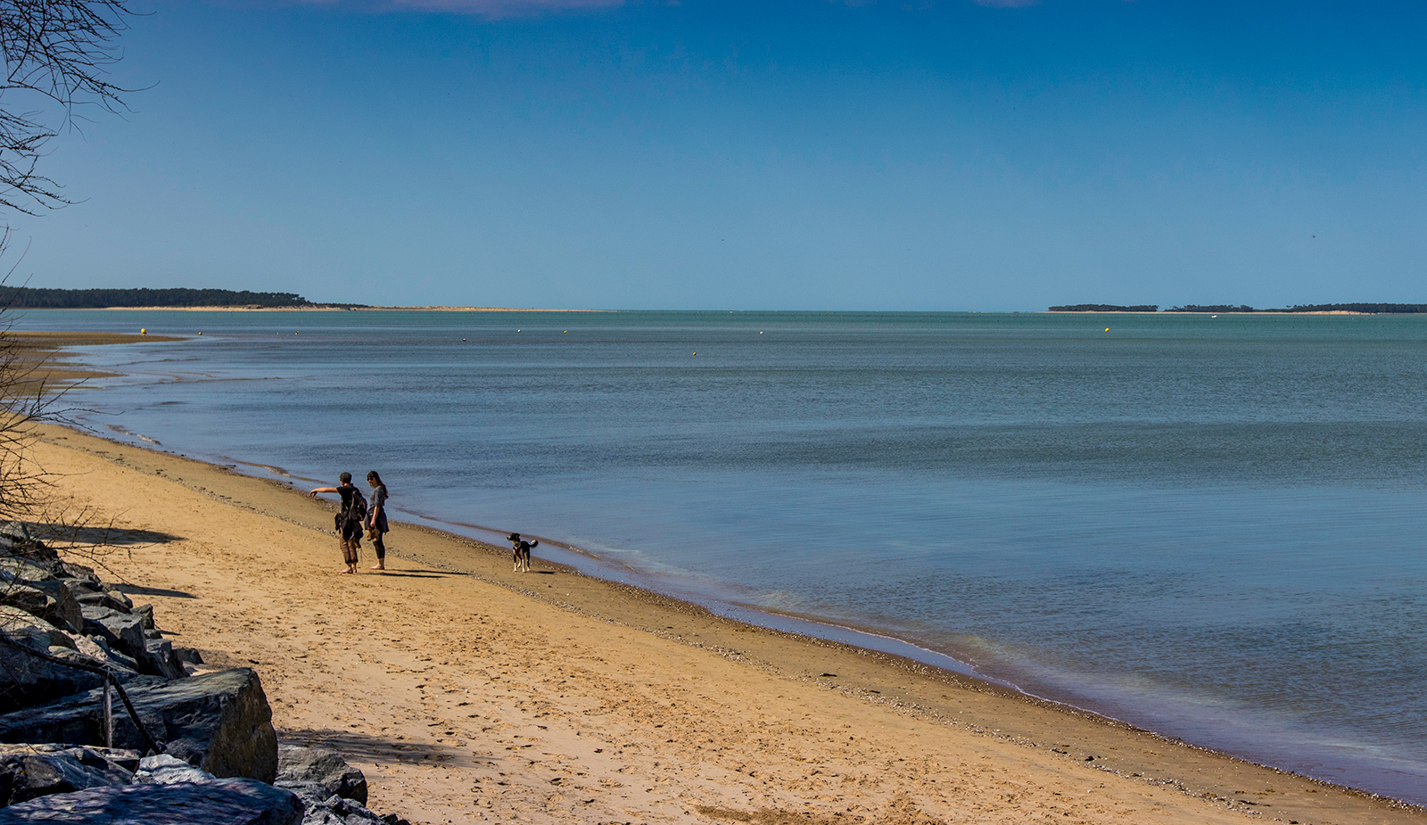 walk-with-dog-beach-ronce-les-bains