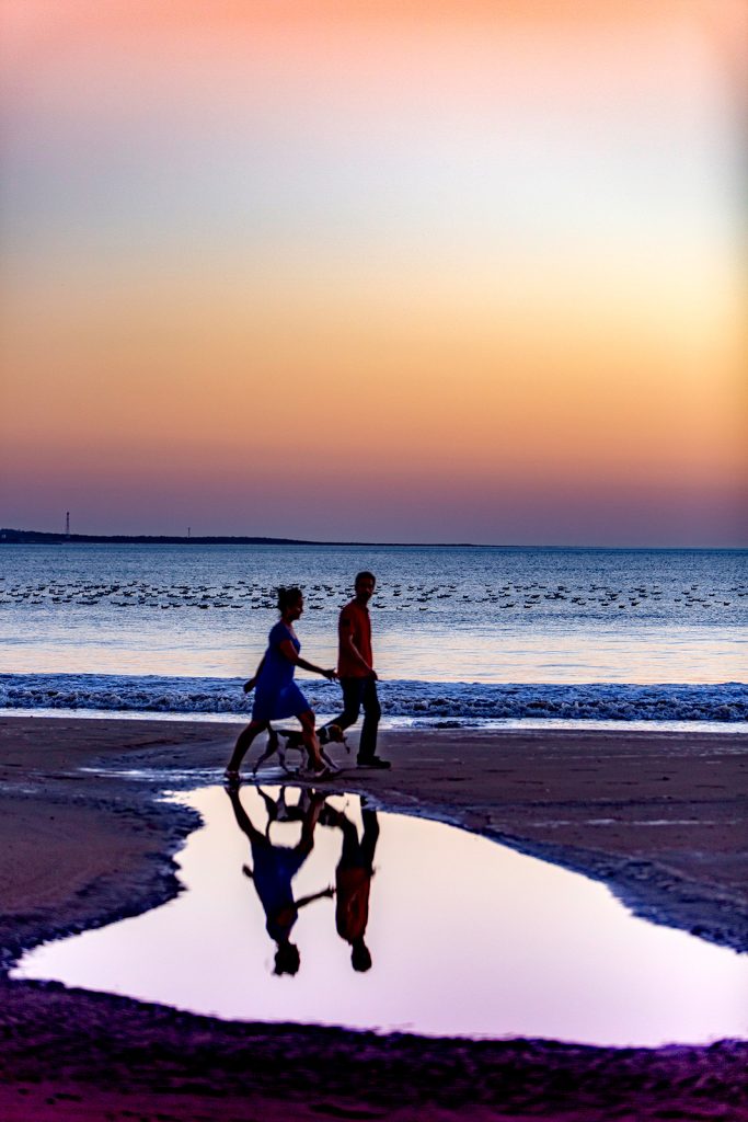 walk-dog-beach-evening-st-georges