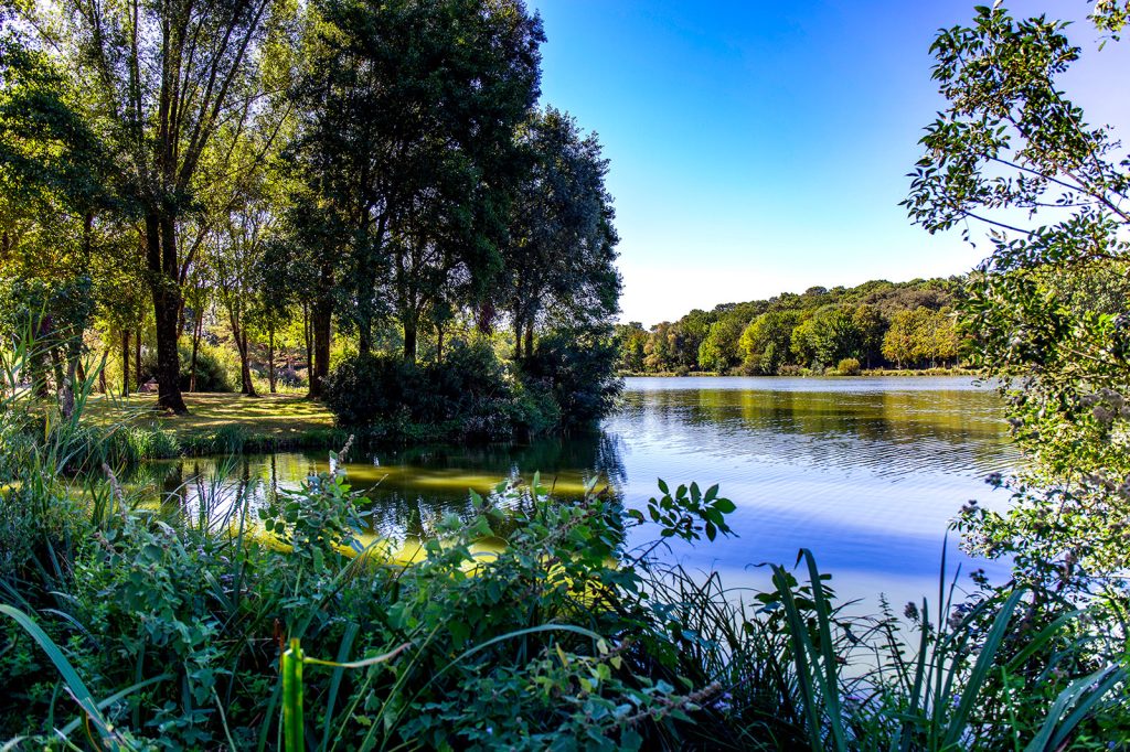 lac st-palais