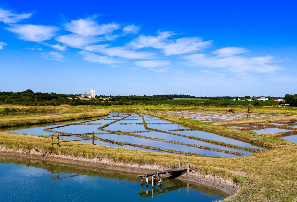 Mornac-sur-Seudre salt marsh