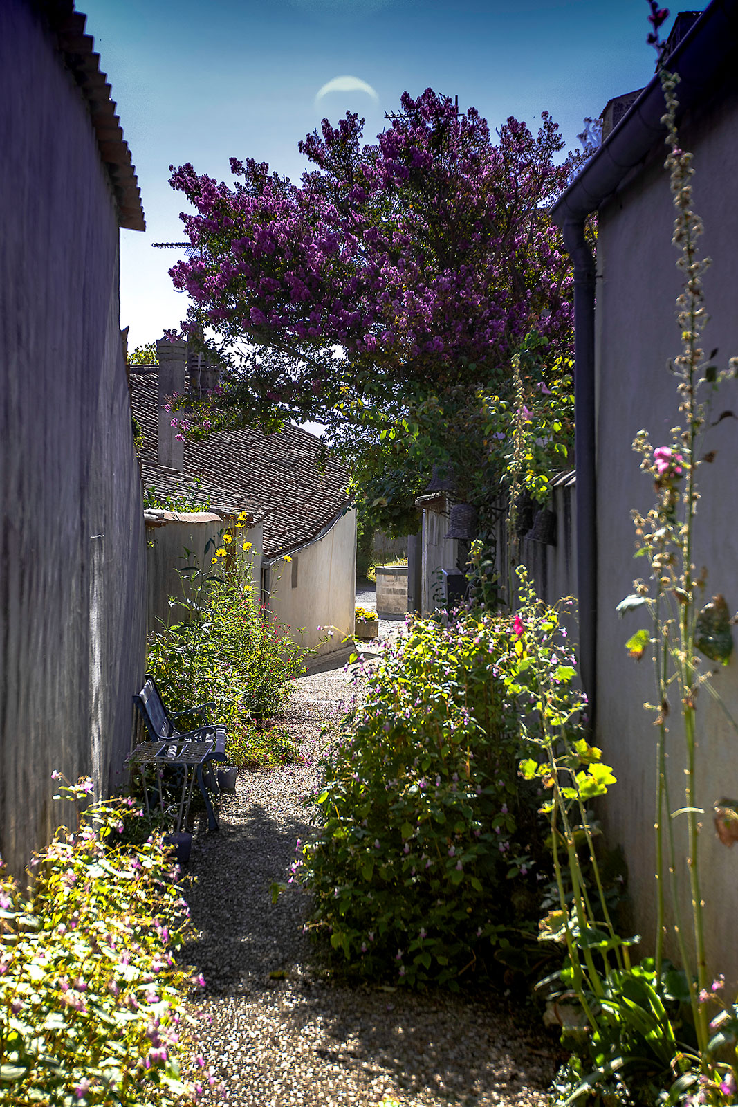Alley of Mornac-sur-Seudre