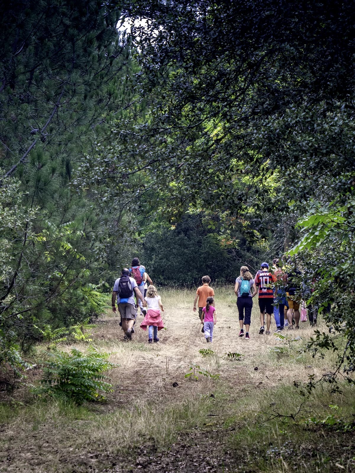 visite-guidee-nature-foret