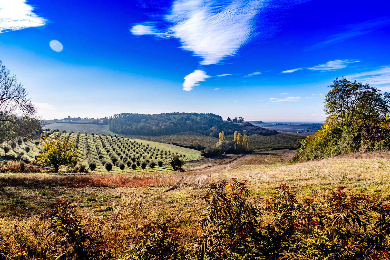 Gironde estuary hillsides