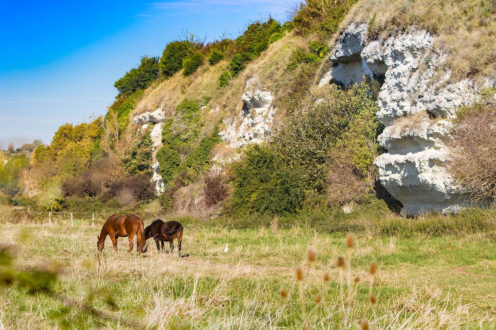 dead cliffs