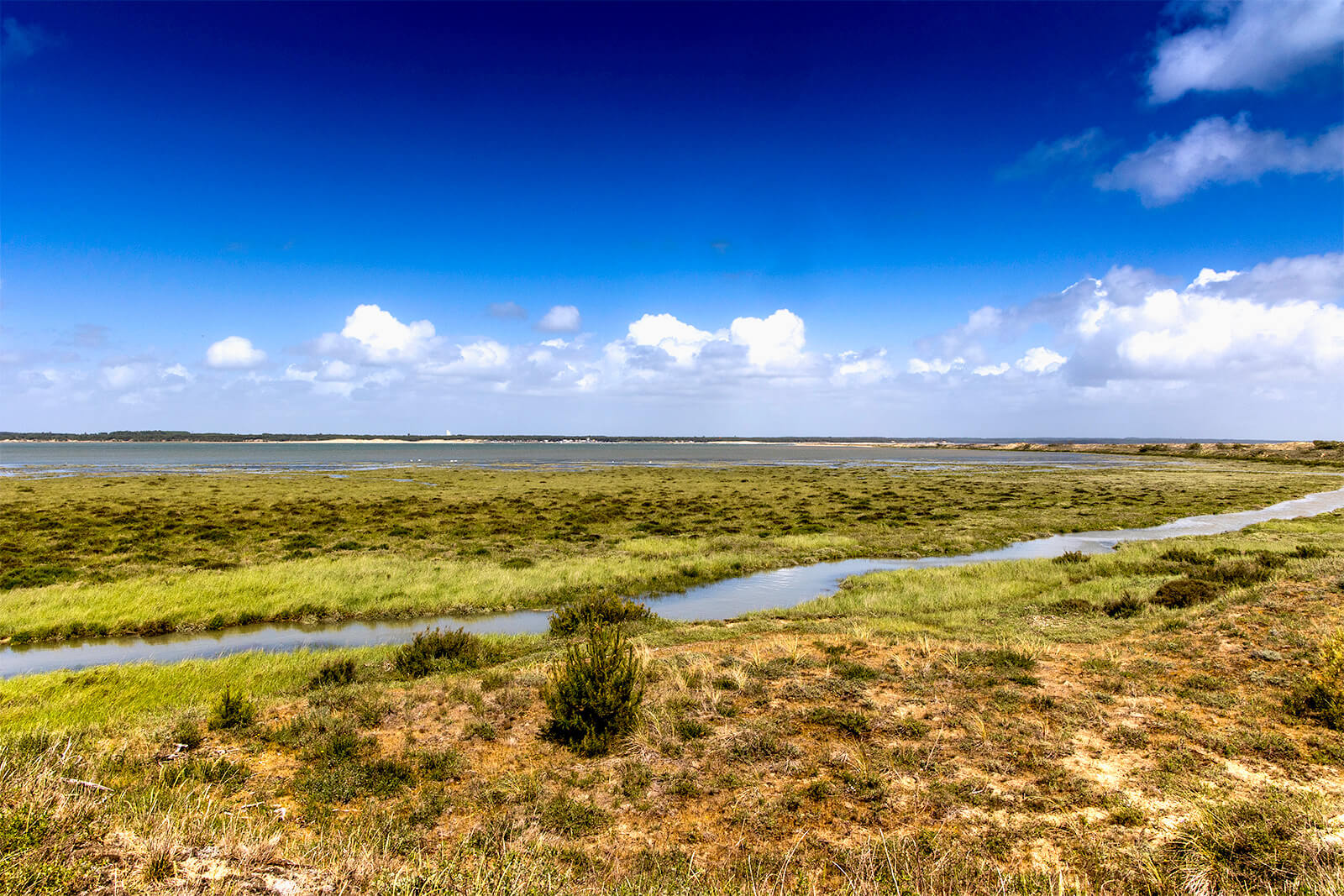 Marais de Bonne Anse à marée haute