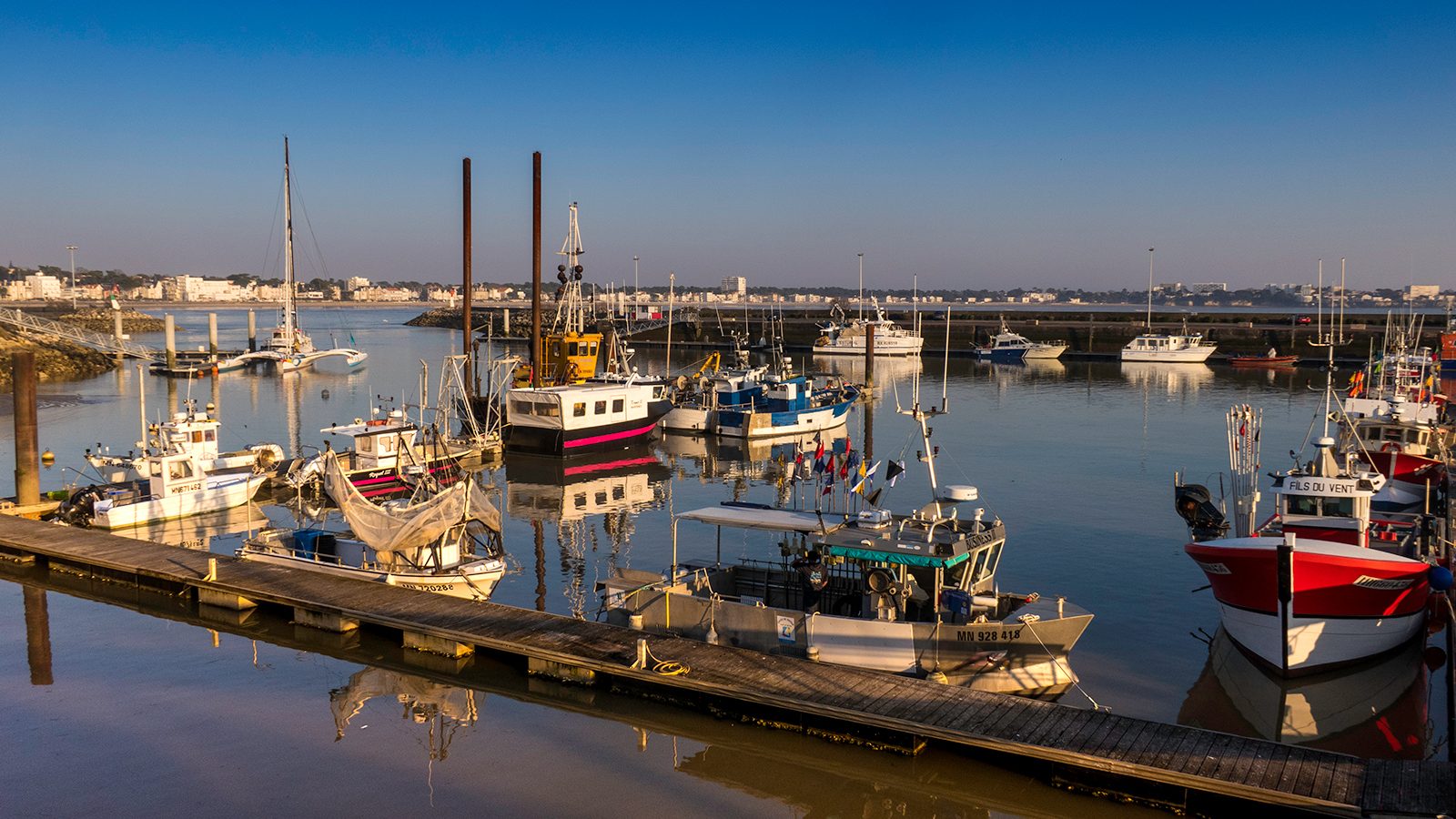 Port-Peche-Criee-Royan