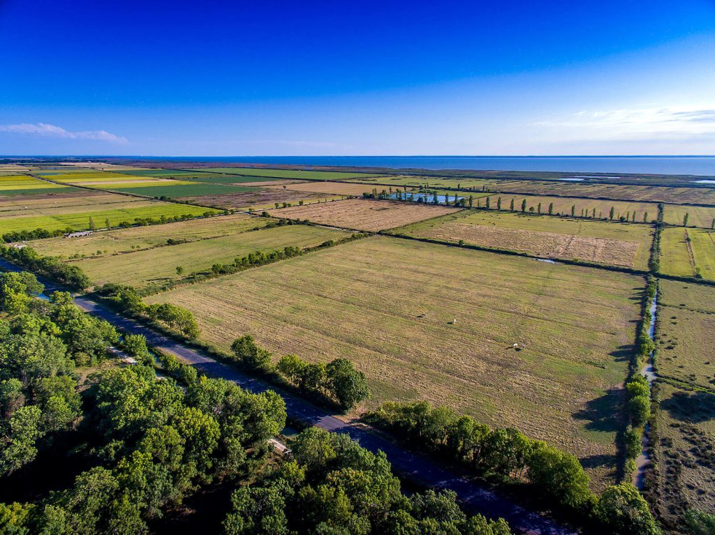 Salzwiesen der Mündung der Gironde