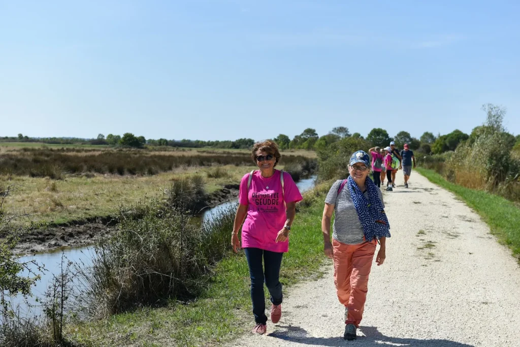 La Remontée de la Seudre : randonnée pédestre