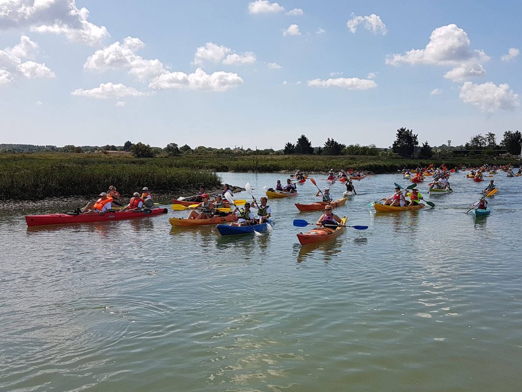 Remontée de la Seudre en kayak