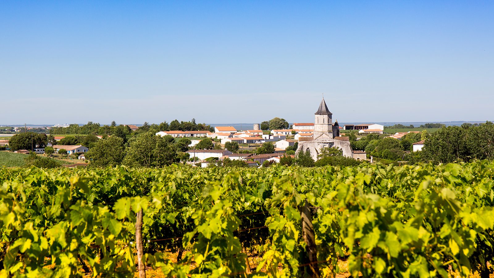 visite-guidee-patrimoine-eglise-arces