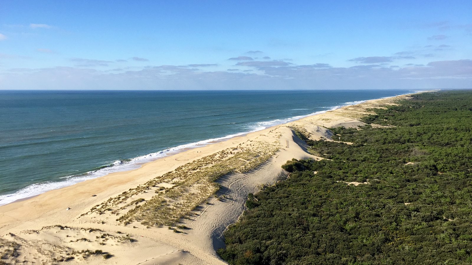 view-cote-sauvage-from-lighthouse-coubre