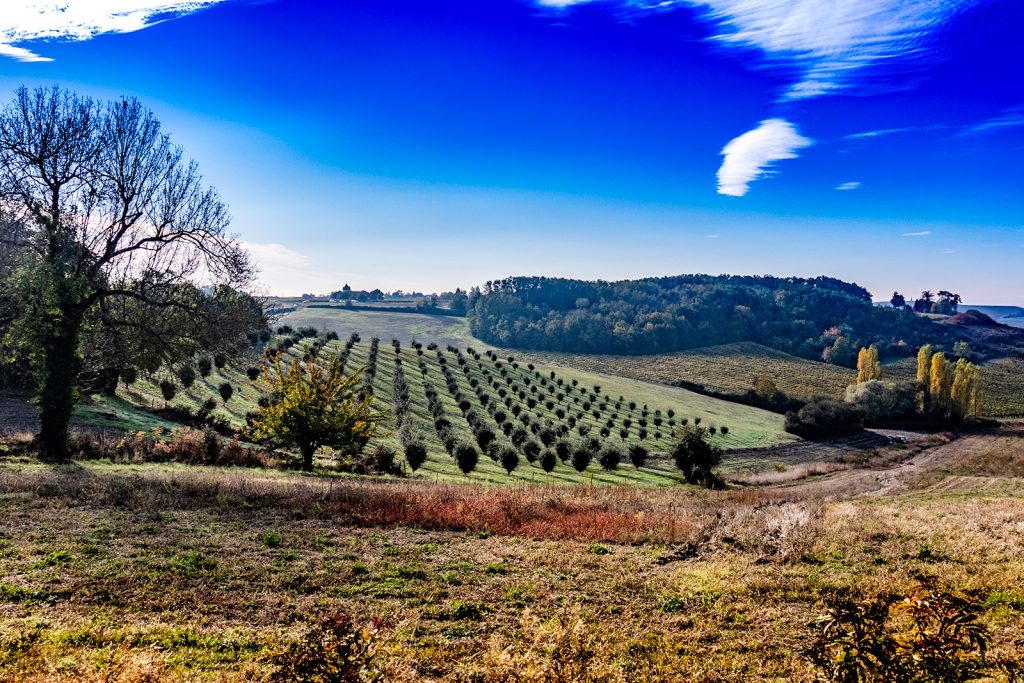 Hügelige Landschaften der Mündung der Gironde