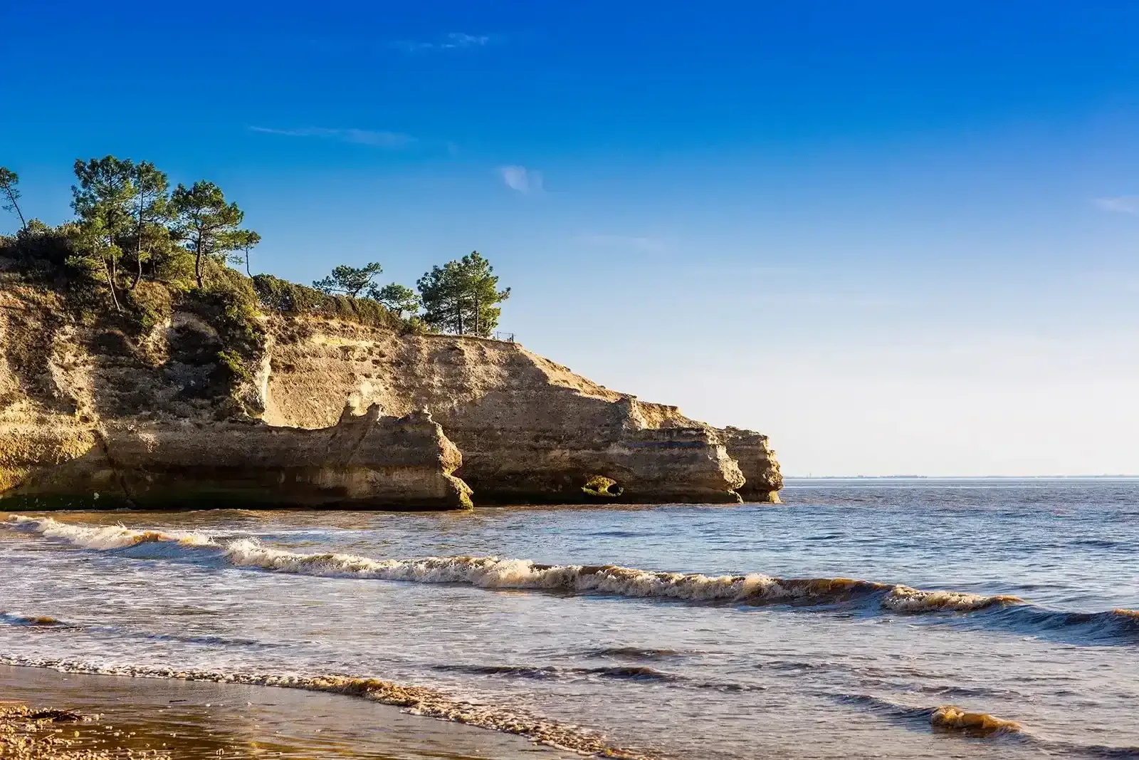 Visual of the seaside and wild destination