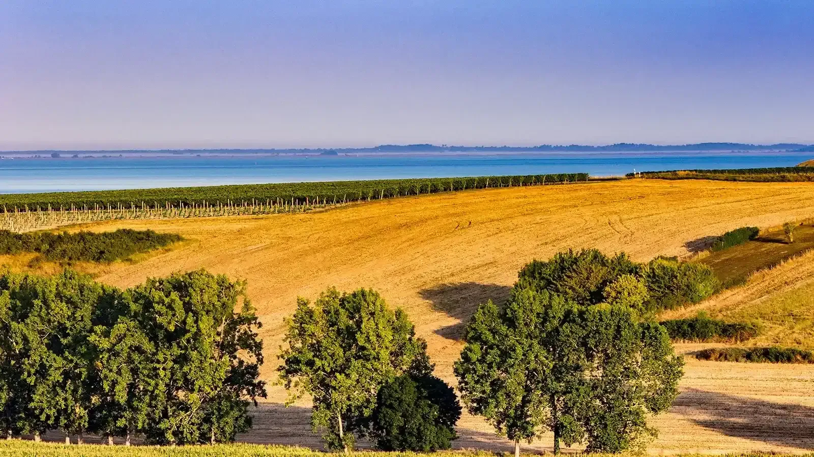 Visual of the Gironde Estuary destination