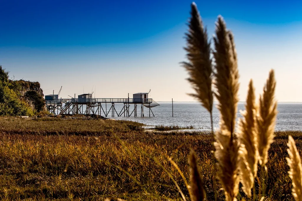 Gironde estuary