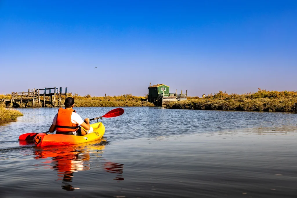 Découvrir le territoire Royan Atlantique en kayak sur la Seudre