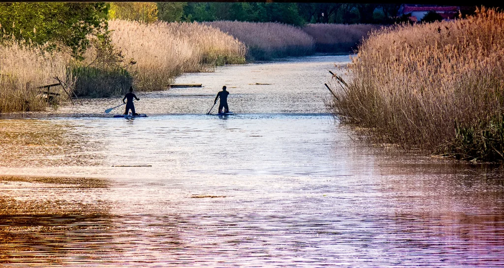 paddle sur la seudre pour profiter d'un court séjour nature à Royan