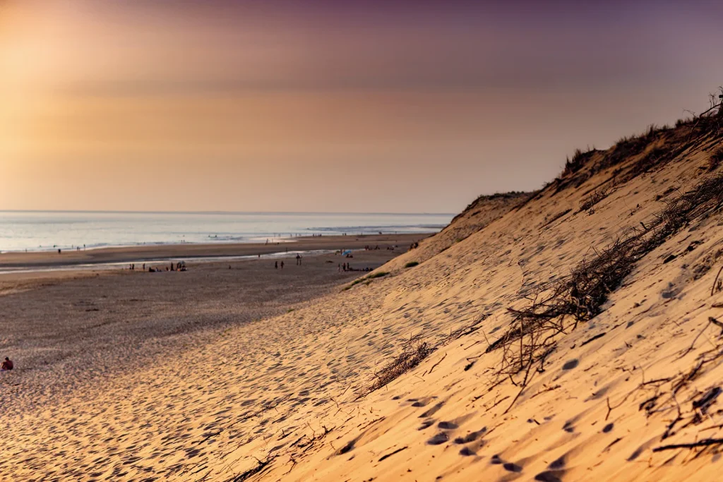 wild coast beach