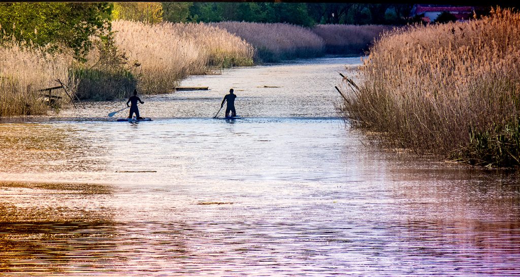Stand up paddle ride on the Seudre in Saujon