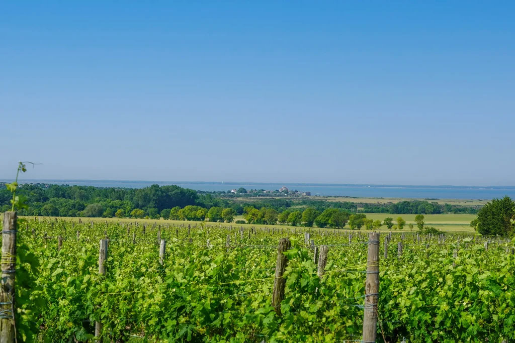 GR 360 - view of the Gironde estuary