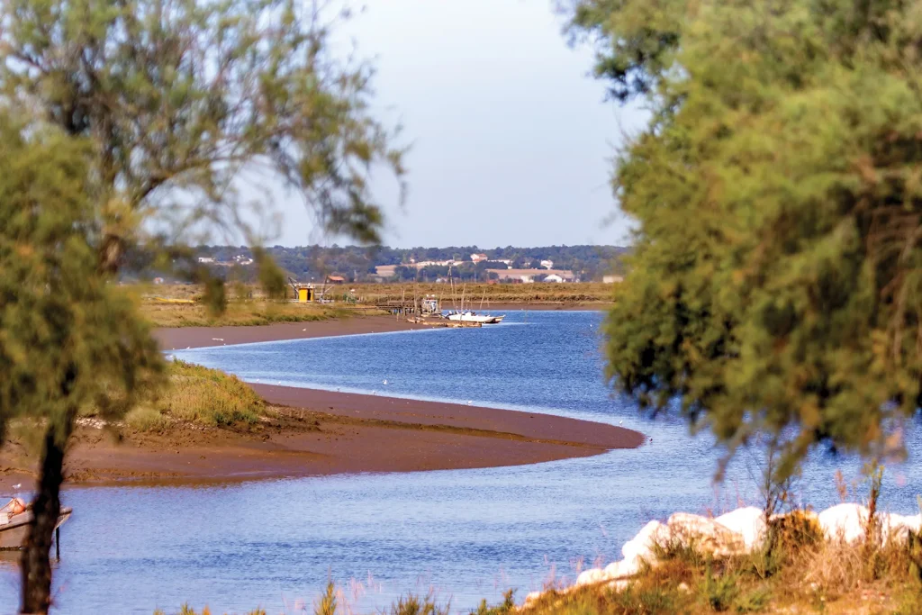 Découverte des marais de la Seudre à L'Éguille