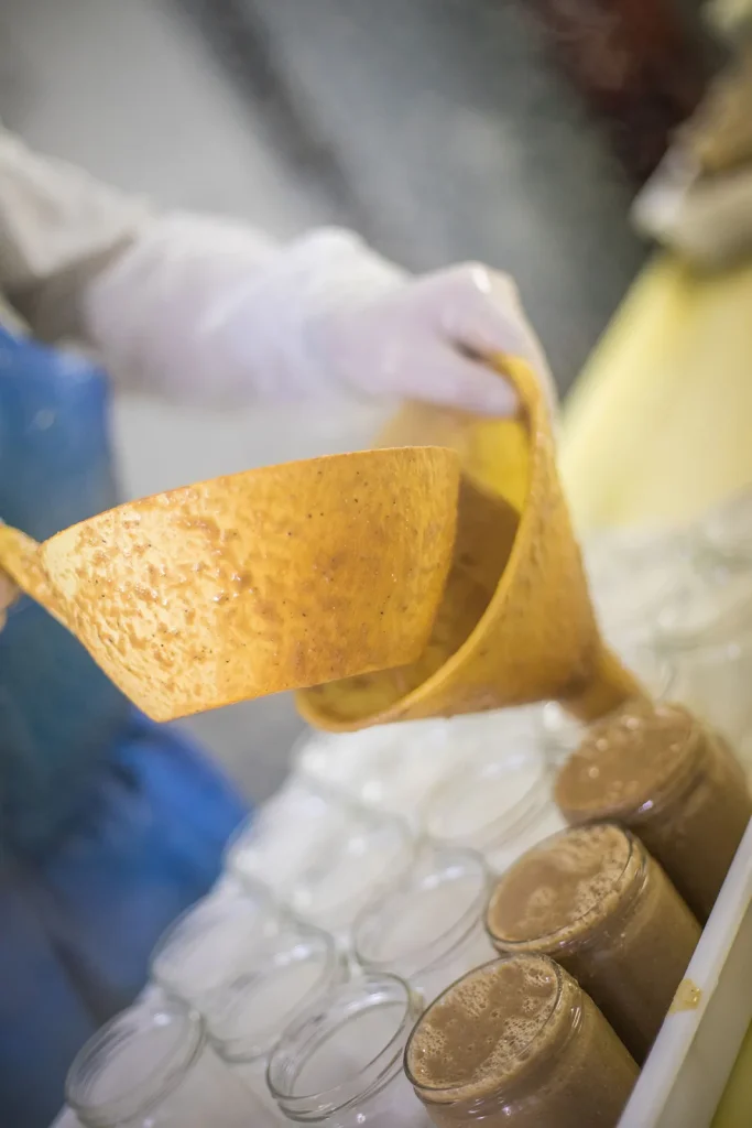 Mise en bocal de la soupe de poissons à la Conserverie Bertin
