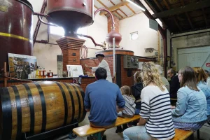 Chais d'ici : portes ouvertes chez les vignerons Royan Atlantique