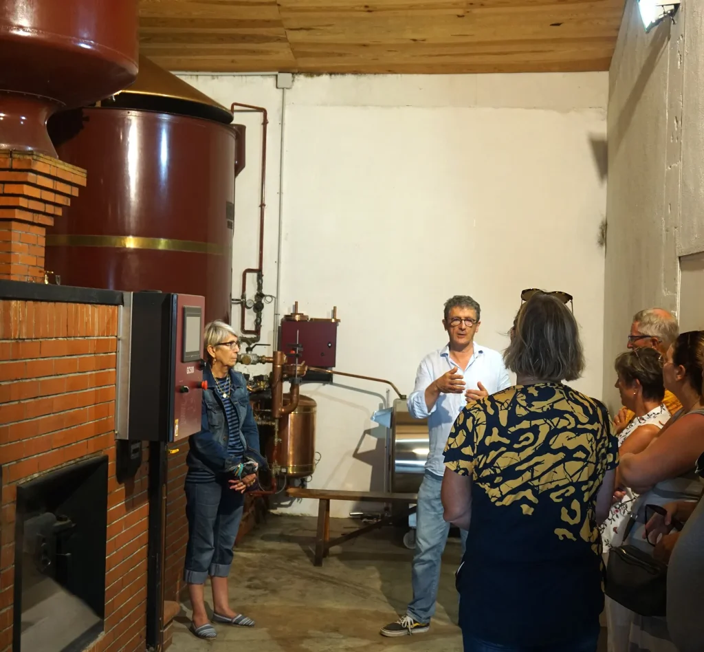 Visite des chais lors de CinéVignobles