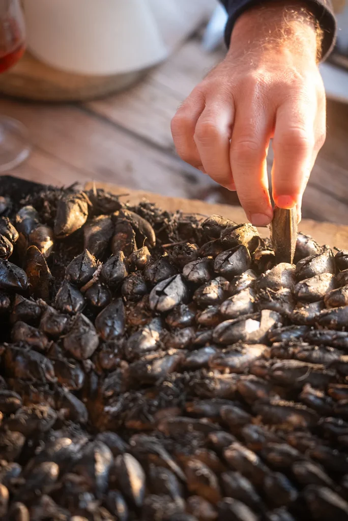 Week-end gourmand : dégustation d