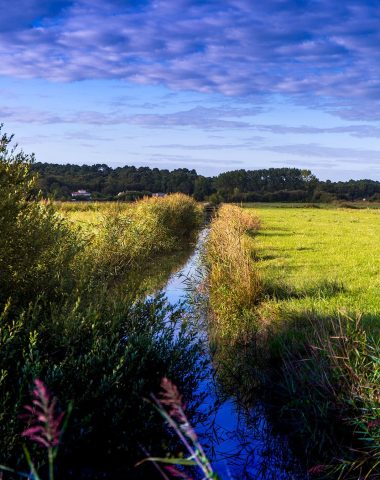 Canal sur les marais doux de Saint-Augustin-sur-Mer