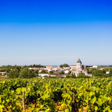 Clocher d'Arces-sur-Gironde
