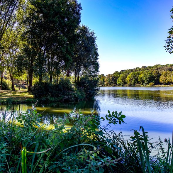 Le lac du parc Raymond Vignes à Saint-Palais-sur-Mer