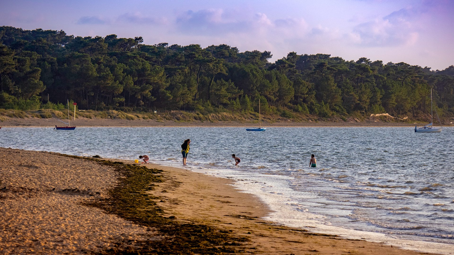 laisse-de-mer-plage-cepe-ronce-les-bains