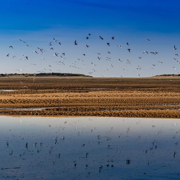 deconnexion bonne anse