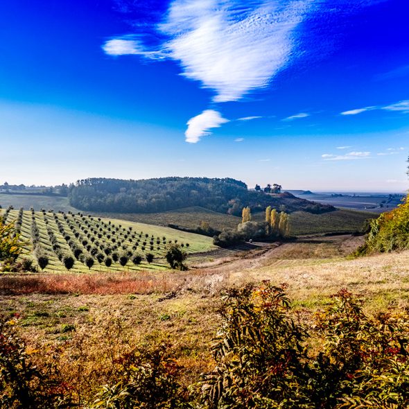 deconnexion mageloup