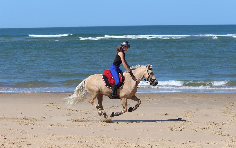 Balade à cheval plage