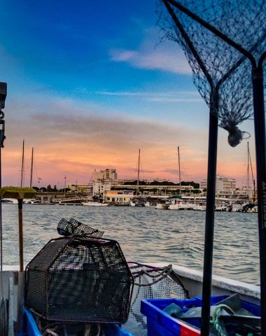 fishing in royan