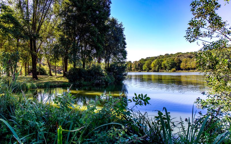 Park-Saint-Palais-sur-Mer
