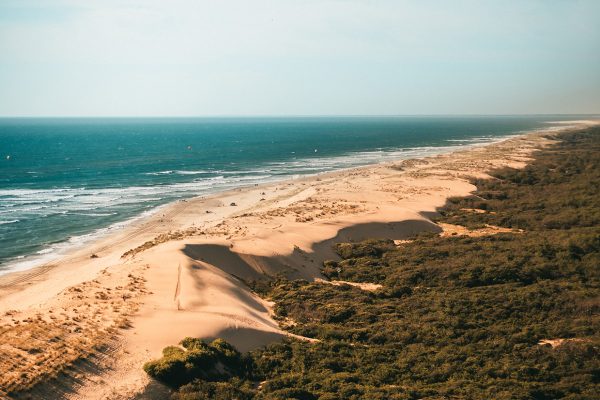 Die Die wilden Strände