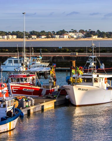 bateaux-port-peche-royan